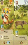 Immagine Gioco