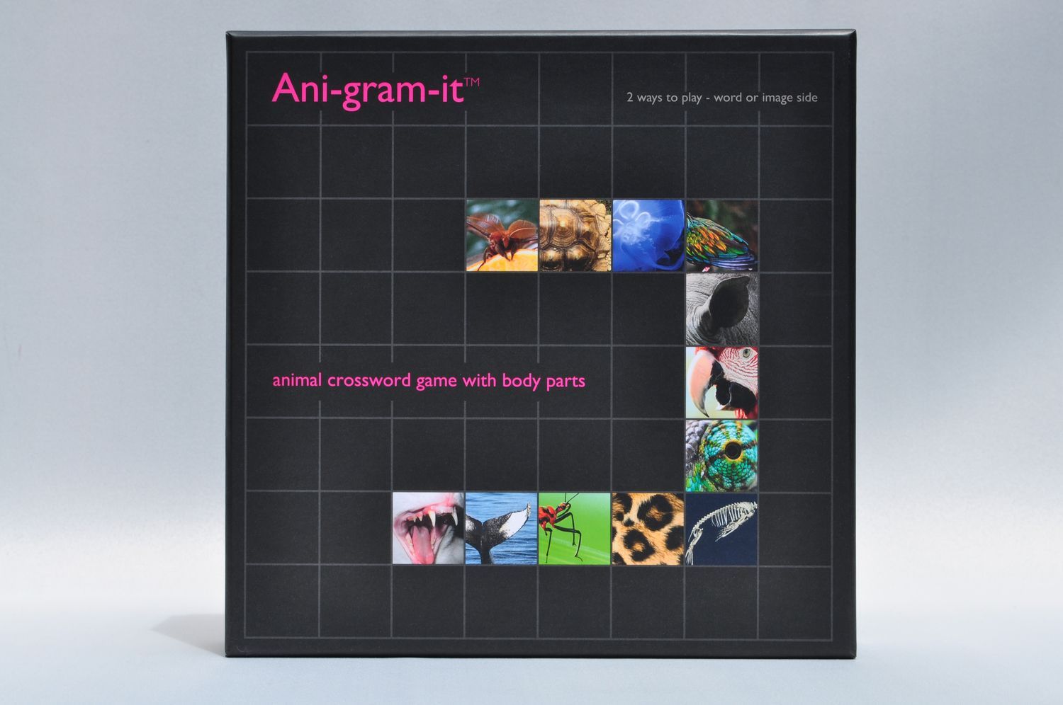 Game Image