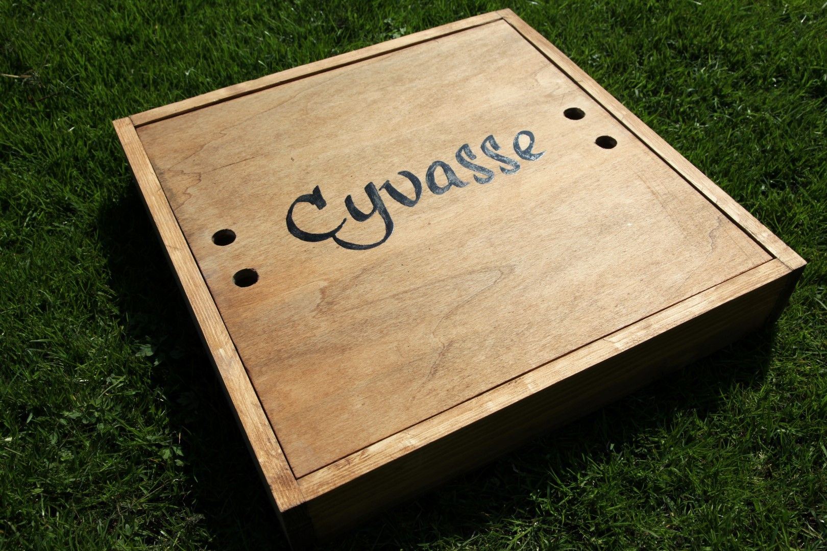 Immagine Gioco