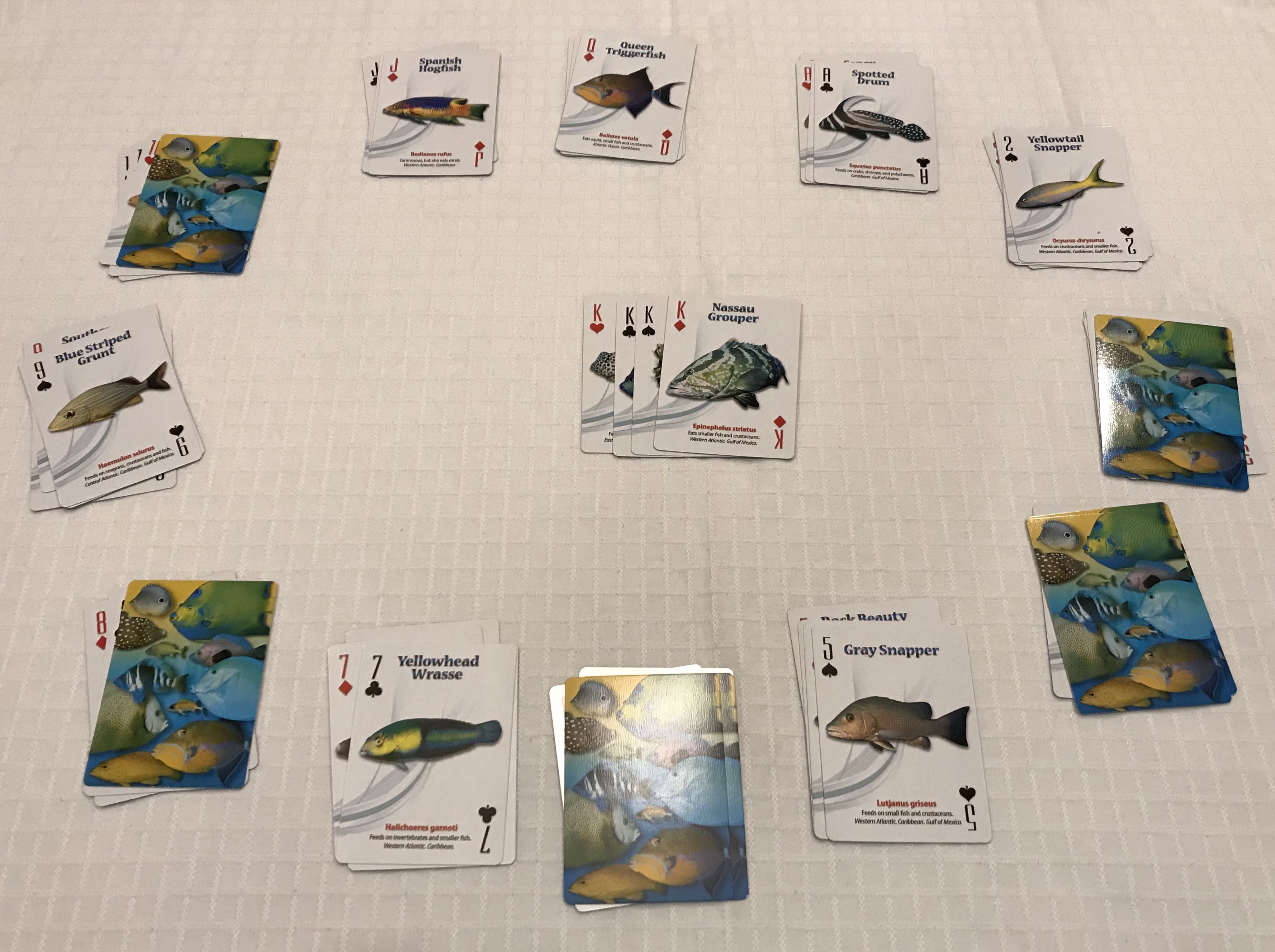 Image du jeu