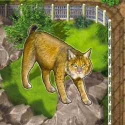 Image du jeu