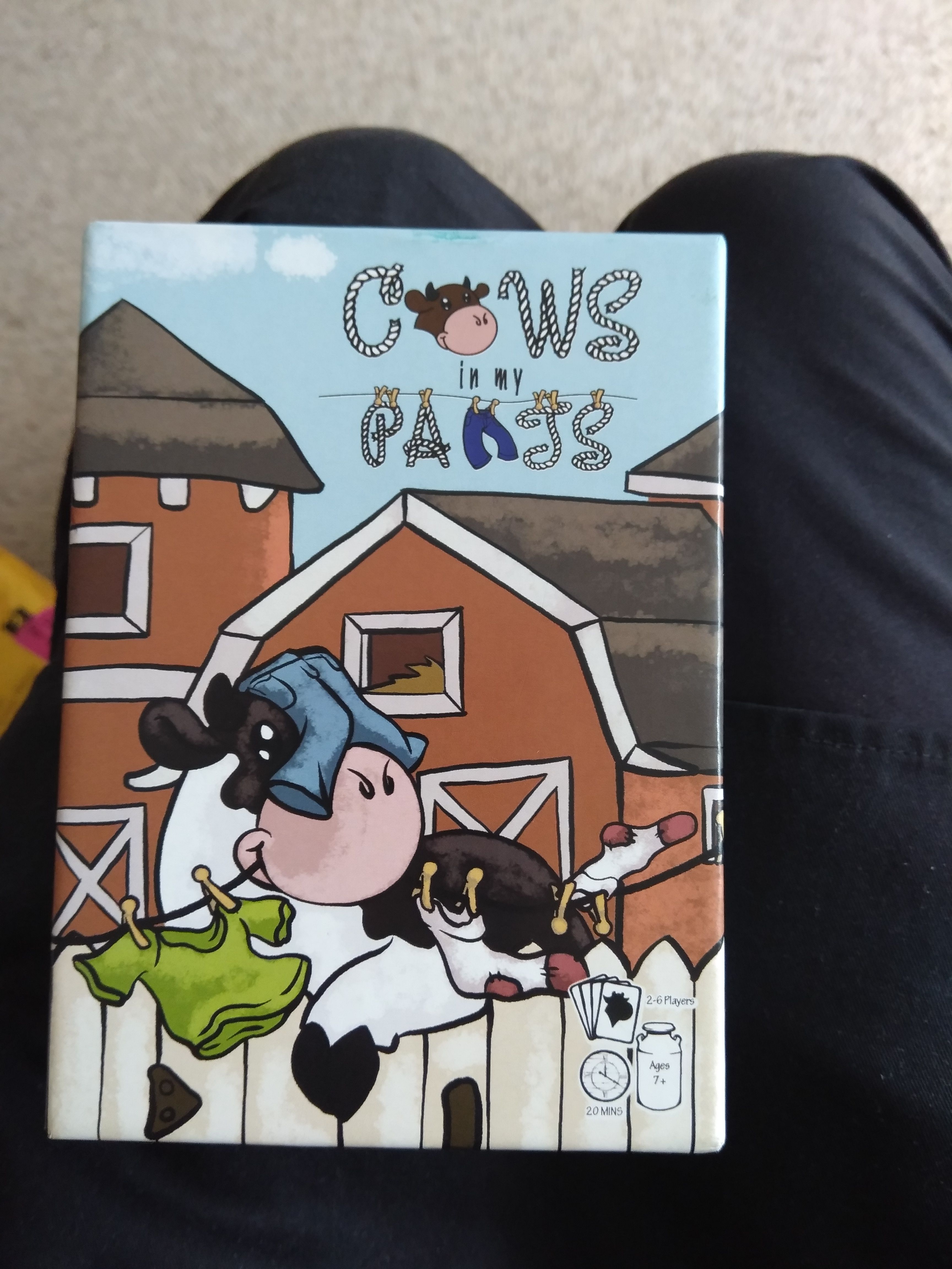 Image du jeu