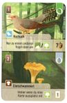 Image du jeu