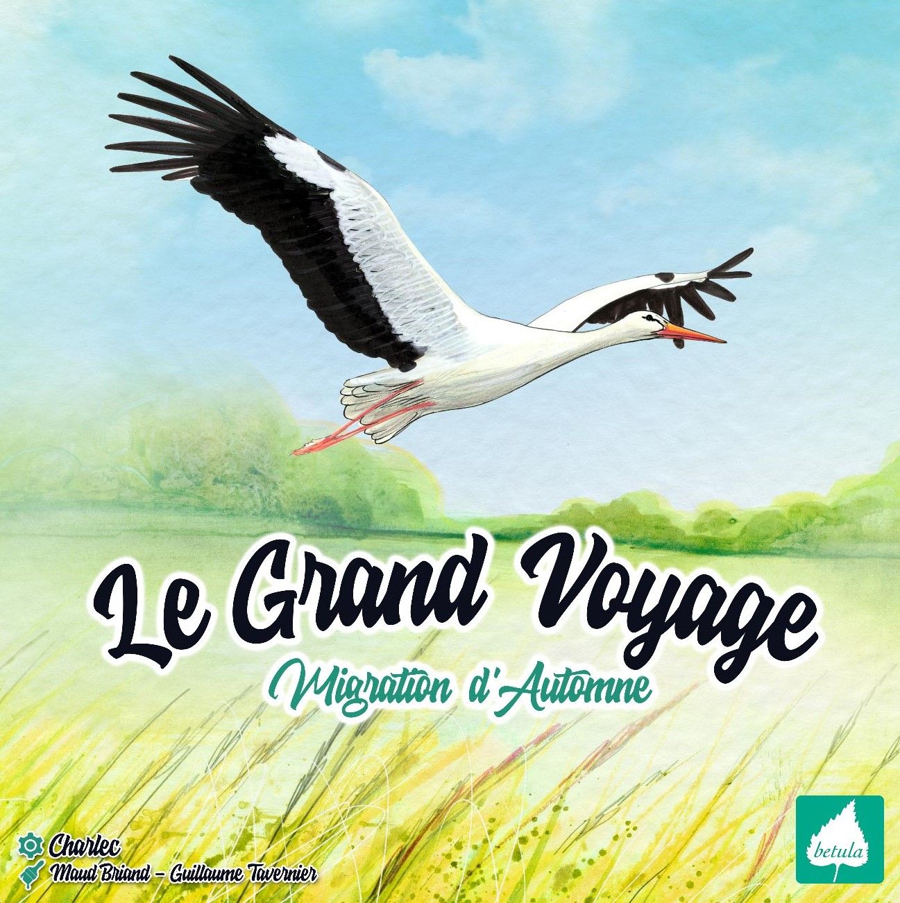 Immagine Gioco