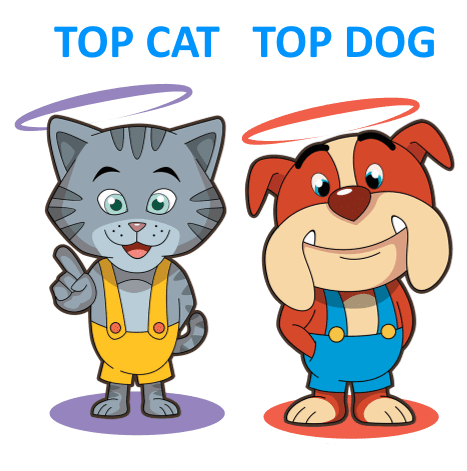 Image du jeu